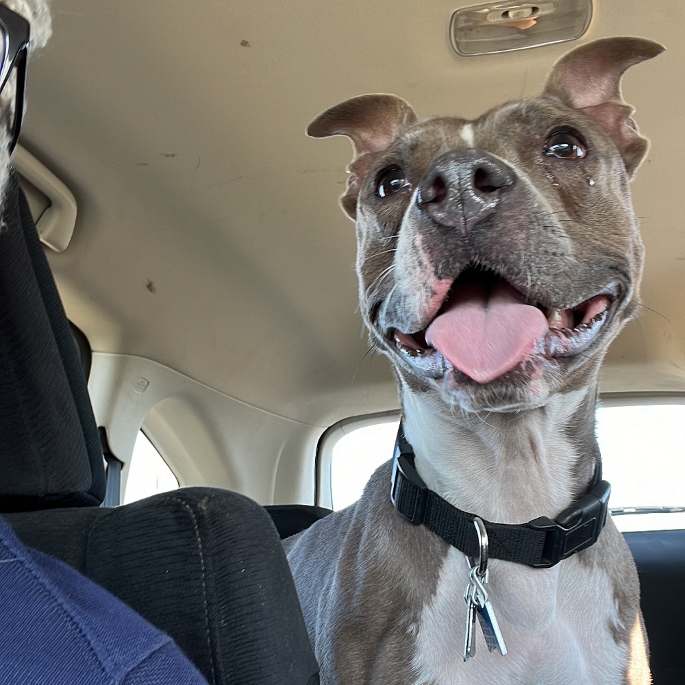 Meet your Posher, Tracee